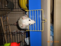 /album/fotogaleria/g-3-jpg/